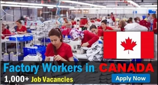 Factory Worker Jobs in Canada with Visa Sponsorship: Opportunities and Requirements